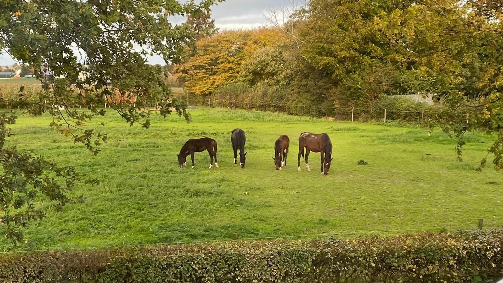 Bed & Breakfast Vida Verde Valkenburg aan de Geul Netherlands