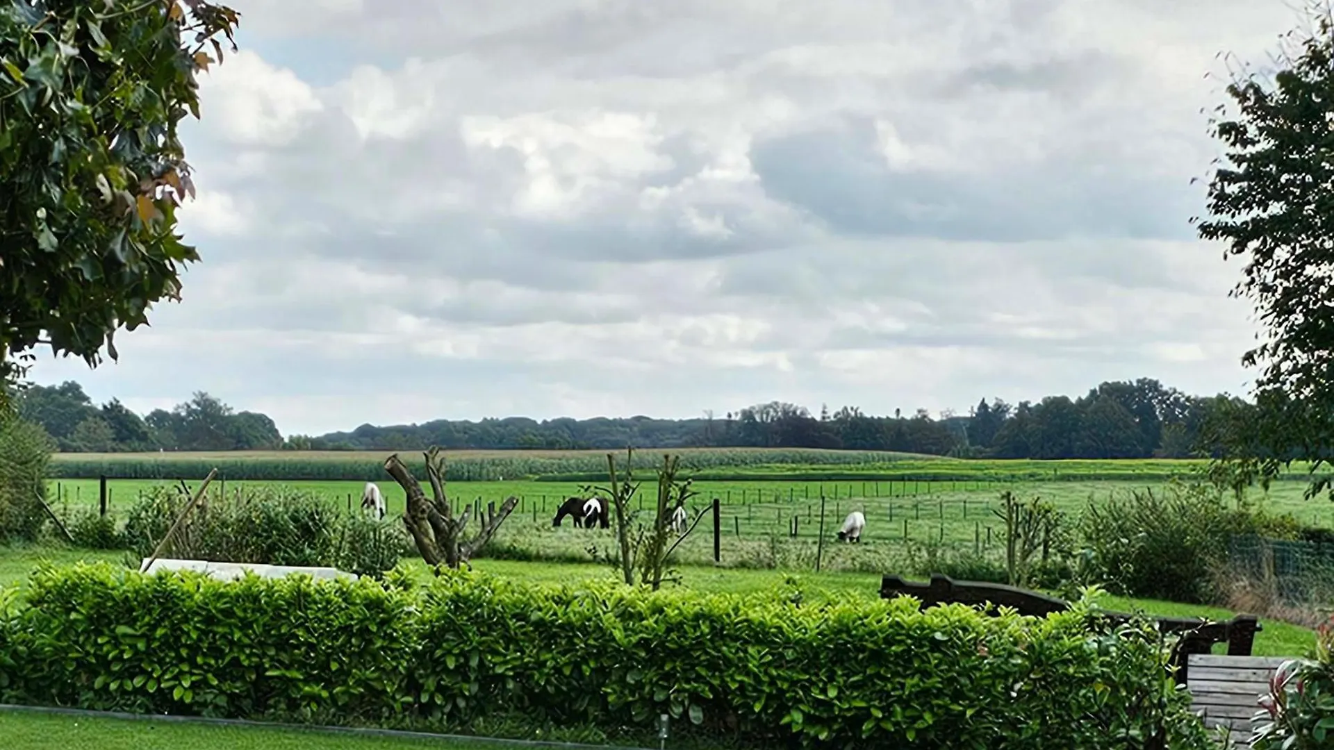 Vida Verde Valkenburg aan de Geul Netherlands